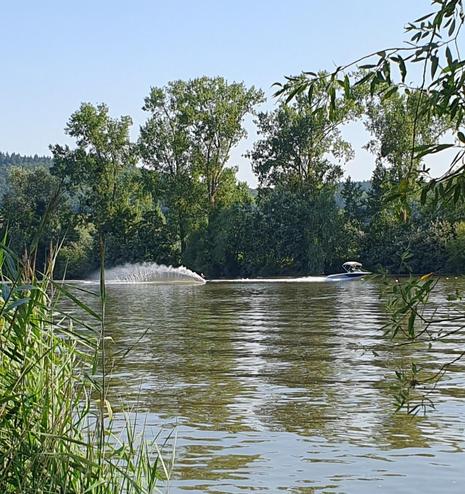 Wasserski auf der Mosel