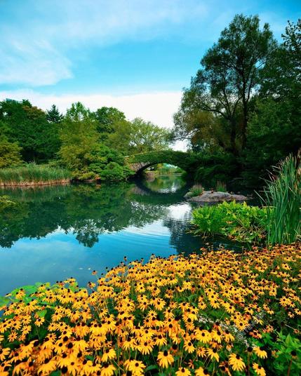 Central Park, New York City in Spring