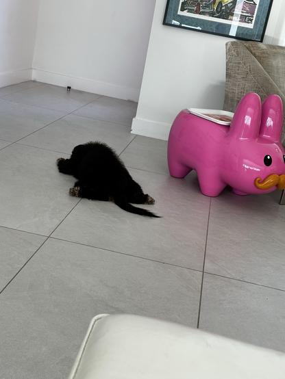 A small black dog, still hopefully waiting for her human to return home. 