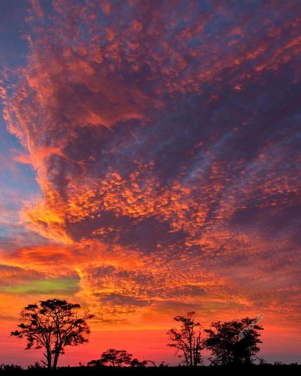 Dramatic sunset in Botswana