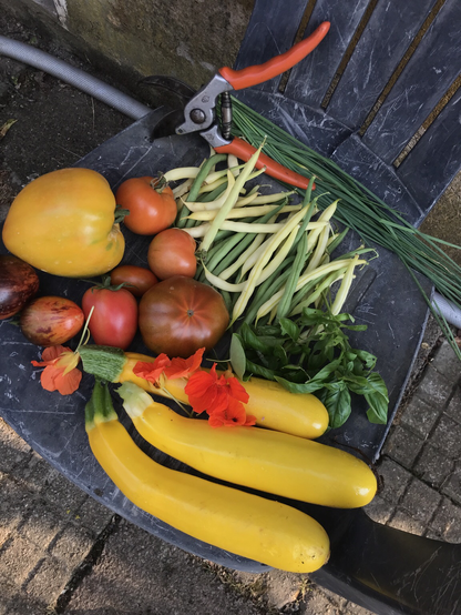 Ein Stilleben verschiedener Sommergemüse und Kräuter auf einem Gartenstuhl