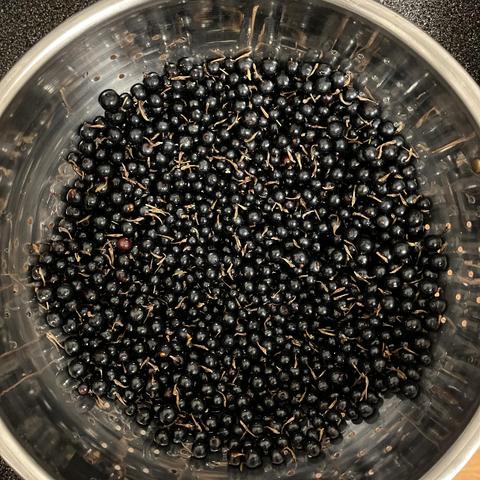 Top down view of a bunch of black currants in a stainless steel colander. The withered flower petals are still attached to the blossom ends and resemble stems. The berries are round and glossy and the shiny bits are pewter coloured, making it look almost like an assortment of hematite beads. 