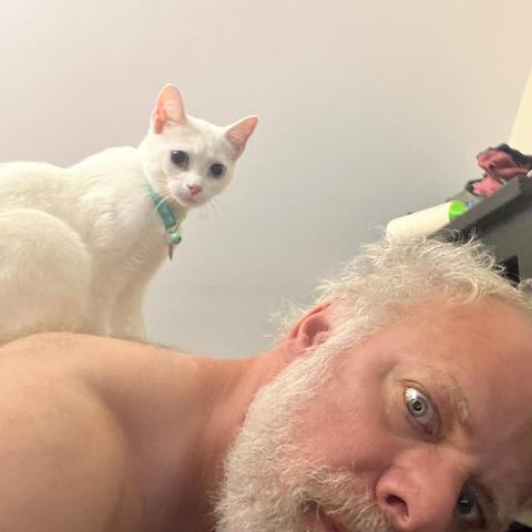 a white cat sits on a shirtless man of a man bent over, both cat and man look at camera with big eyes