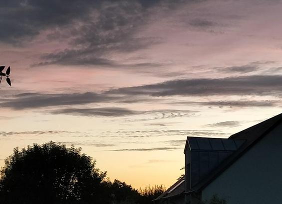Le ciel au crépuscule, allant du rose pâle au jaune orangé avec à peine une évocation du bleu entre les deux. Devant, des nuages gris contrastent nettement. 

Ceux devant la bande bleue du ciel sont très fins, tout en longueur, certains en ligne continue et d'autres en pointillés.

Tout à droite, il y en a un en trait un peu épais effilé à une extrémité (comme un sourcil mis à plat, sans sa courbure) avec trois petits points juste en-dessous, au contact. Pour moi il ressemble à une crevette.

En ombres chinoises au premier plan de la photo, le feuillage bien rond d'un arbre, une haie, un toit de maison avec un chien-assis.