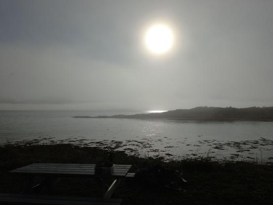 Es ist ziemlich diesig bzw. neblig, die Sonne ist wie hinter einem Schleier über dem Sund. Im Vordergrund eine Sitzgelegenheit.