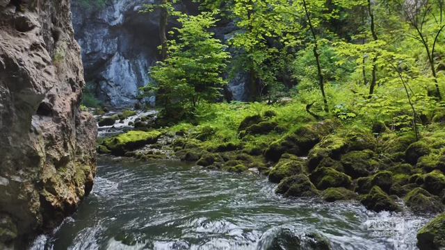 Slovenia - Where nature come first, 2024-08-07, 22-14-44, Focus HD