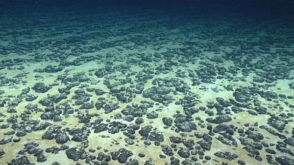  So-called polymetallic nodules are potato-size lumps of oxides of iron and manganese that also contain precious metals like cobalt and rare earth elements. (Image credit: NOAA Office of Ocean Exploration and Research, 2019 Southeastern U.S. Deep-sea Exploration) 

"For aerobic life to begin on the planet, there has to be oxygen and our understanding has been that Earth's oxygen supply began with photosynthetic organisms," "But we now know that there is oxygen produced in the deep sea, where there is no light. I think we therefore need to revisit questions like: where could aerobic life have begun?"