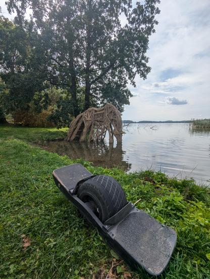 Onewheel prie ežero, kuriame šiaudinis arklys vandenį geria