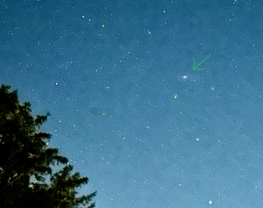 Backyard view of Andromeda with IPhone 