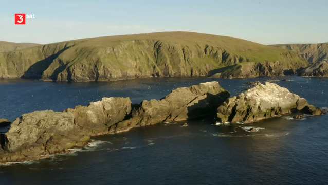 (1/4): Spring
Scotland's sparsely populated landscapes offer an astonishing variety of wild animals. In four documentaries, the filmmakers accompany some of them through all seasons.