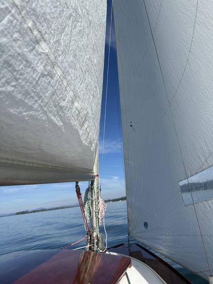 Between the main and large genoa sail in a light breeze.