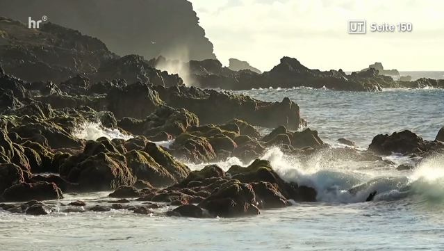 Tenerife is an island that inspires - because of its diversity, its climate and its authenticity. Tenerife is an island with countless charming nooks and crannies. It surprises its visitors with contrasts.