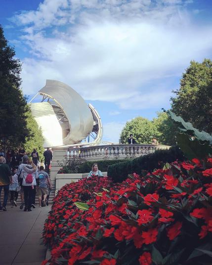 Profile of the Pritzker Pavilion bandshell designed by architect Frank Gehry. 