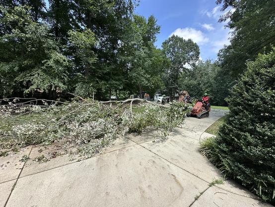 A man on a small motorized vehicle with tank treads carts away part of the large tree in my driveway