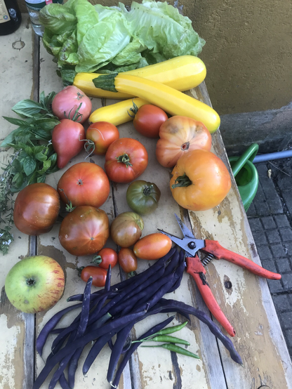 Gartentisch mit verschiedenen Tomaten und Gemüsesorten