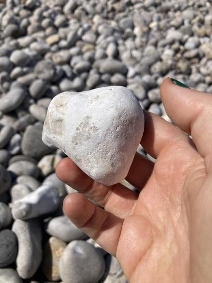 A hand holds a large, irregularly shaped, potato-like white beach pebble with a few darker spots. The backdrop is a rocky beach.