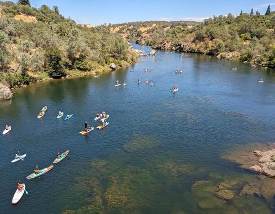 The American River full of paddle boards and kayaks. It's almost to the point where a squirrel could run the length of the river without getting wet.