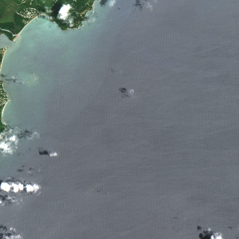 Snapshot of a satellite image of a coastal area.