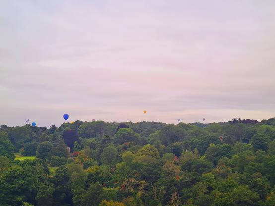 Trees, a few balloons just peeping over and grey/pink clouds over most of the sky.