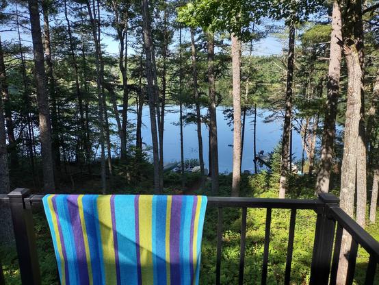 The view from the deck of a summer house in southern Maine, looking through tall pines and oaks to a still, blue pond. At the edge of the water are canoes and kayaks and a dock with green plastic chairs, and glimpses of pickerel weed growing in the shallows. There's a bright turquoise, yellow, and purple striped towel draped over the railing of the deck.