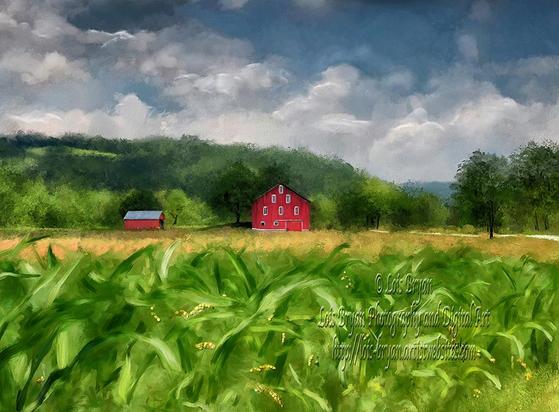 "Summer Cornfield" … A brilliant green cornfield, the stalks already beginning to tassel at the ends, waves lazily under the summer sunshine. A drive through the heart of the Laurel Highlands in Central PA , USA, brings visual gem after visual gem. The sapphire blues of the skies, the ruby reds of the barns, the golden fields and the emerald hills and crops … all are a delight and the picture perfect examples of a summer's day in the country.

This image was hand painted in Corel Painter (not Ai) from one of my own photos (not stock or public domain), and is a cropped version of an old favorite, The Red Barn on Burnt House Road, which is also available at my shop.

At my website (cool wall art, coffee mugs, puzzles, tote bags and more!):  https://lois-bryan.pixels.com/featured/summer-cornfield-lois-bryan.html

And at #FineArtAmerica:  https://fineartamerica.com/featured/summer-cornfield-lois-bryan.html 

#art #summer #cornfields #redbarns #PA #Pennsylvania #CentralPennsylvania #CentralPA, #LaurelHighlands #Pavia #Osterburg #LoisBryan #NotAi #digitallyhandpainted 