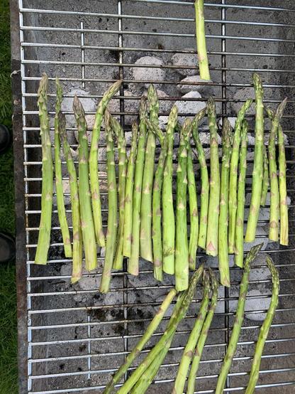 Asparagus spears on a barbecue grill. 