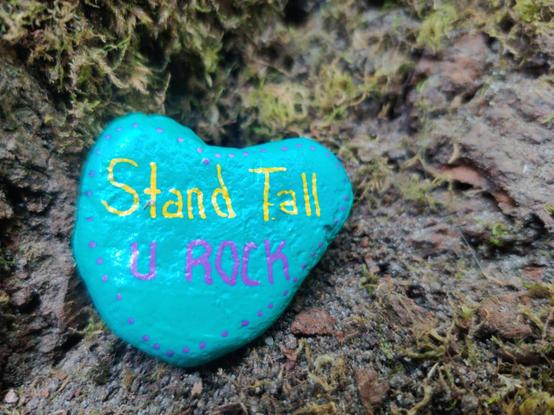 A bright blue rock, painted in letters that read "Stand Tall U ROCK." The stone rests on the crook of a tree.