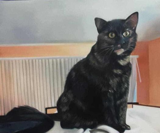 a painting of a cat, it is dark brown - black with gold marbling on it, a large size, blinds on the windows behind it, the walls salmon colored, the ceiling white 