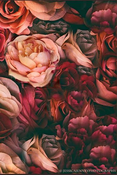 A vibrant and intricate close-up of roses in various shades of pink, red, and peach creates a romantic and captivating floral scene. The petals are lush with fine details that highlight their delicate structure and color variations.