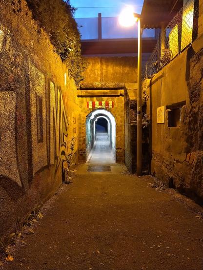 The photo shows the pedestrian railway underpass in Nuremberg Reichelsdorf from the east. The exit area consists of a plastered wall on the left side, which is sprayed with graffiti. On the right, a partially unplastered sandstone wall can be seen. The arched passageway directly below the railway tracks is only 1.1m wide and 2.5m high in the middle. The brick walls of the passageway are also sprayed with graffiti. The exit area is illuminated by a sodium vapour lamp, whose yellow light forms a strong contrast to the cold lighting with fluorescent tubes in the passageway
-
Auf dem Foto ist die Fußgänger-Bahnunterführung in Nürnberg Reichelsdorf in östlicher Blickrichtung zu sehen. Der Ausgangsbereich besteht auf der linken Seite aus einer verputzten Mauer die mit Graffiti besprüht ist. Rechts ist eine teilweise unverputzte Sandsteinmauer zu sehen. Der bogenförmige Durchgang direkt unterhalb der Bahngleise ist nur 1,1m breit und in der Mitte 2,5m hoch. Die gemauerten Ziegelwände des Durchgangs sind ebenfalls mit Graffiti besprüht. Beleuchtet wird der Ausgangsbereich mit einer Natriumdampflampe, deren gelbes Licht einen starken Kontrast zu der kaltweisen Beleuchtung mit Leuchtstoffröhren im Durchgang bildet