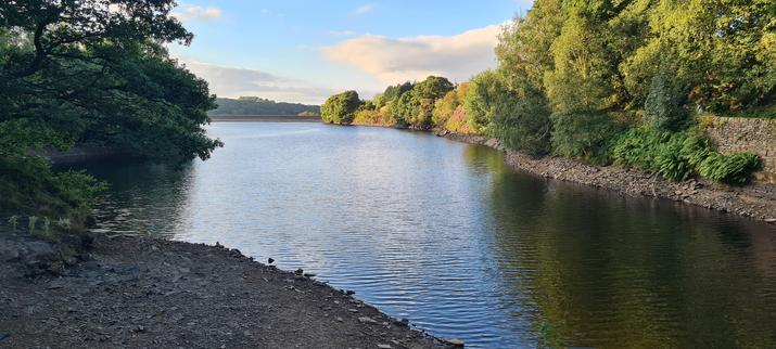 A narrow reservoir, with trees in full leaf along both sides. The water is low, revealing a rough stony beach in the foreground. A small stone dam is visible at the far end of the reservoir. It's a sunny evening: the leaves on the right side trees are brightly lit, and the water is reflecting the blue sky above.