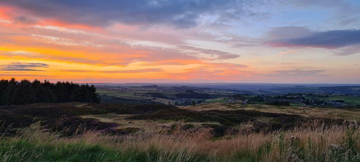 A ridiculously beautiful sunset over a rural valley, stretching out in the distance. The feature colours of the sunset - rose golds, oranges and peach - is mostly to the left of the picture, above some pine woodland in silhouette. The colours fade into warm blues and greys across the sky. The picture is taken from the top of a hill so the land falls away and flattens out before - in the very far distance - rising into more hills. 