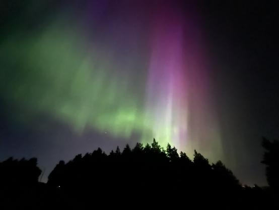 Wide angle shot of red, purple and green Aurora above an outcrop of trees. 