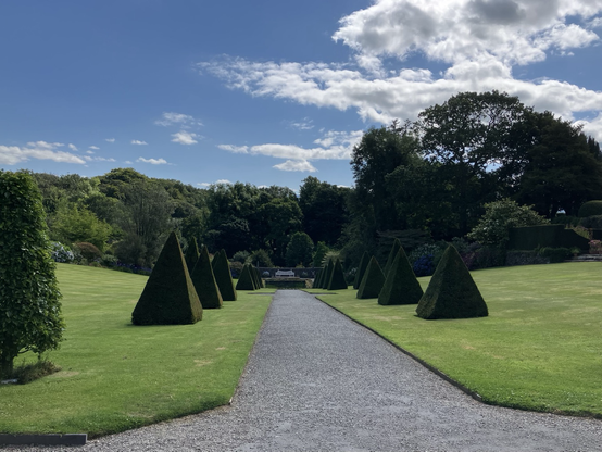 A blue and green pic: blue sky, green formal garden backed by woods. There’s a broad path between two sloping lawns, and the path is flanked by pyramids of perfect topiary. The path leads to a long white seat in the distance, behind which the wilder parts of the garden are just visible.