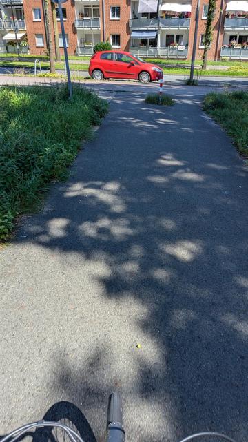 Ein Weg für Fahrrad und Personen. Schmal, von der Gegenstraße nicht direkt befahrbar. 
Aber mittig eins der Besten gegen Fahrrad fahrende Personen. Vllt. FDP gefördert?