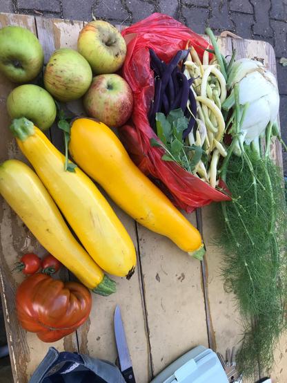 Ein Gartentisch mit einem Stilleben verschiedener Gemüse und Früchte wie Bohnen, Zucchini Fenchel, Äpfel und Fleischtomate