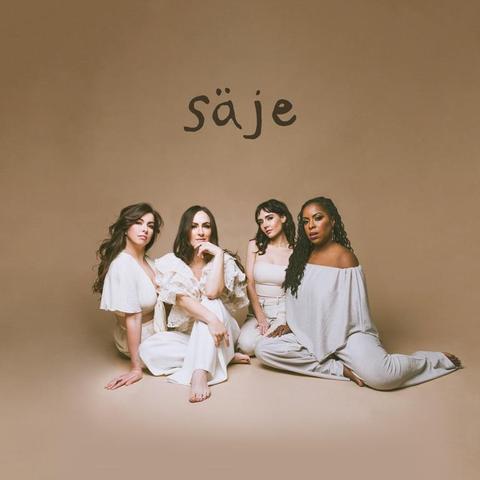 An image of the cover of the record album 'säje' by säje