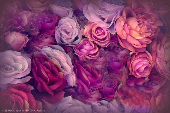 A collection of roses in various shades of purple, pink, and orange creates a lush and romantic scene. The soft lighting and gentle fading of the petals convey a dreamy and ethereal quality.