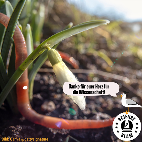 Ein Foto von einem Regenwurm, der aus dem Boden kommt mit einer weißen Blüte im Vordergrund. Aus dem Science-Slam-Logo steht die Science-Slam-Möwe und sagt „Danke für euer Herz für die Wissenschaft!“