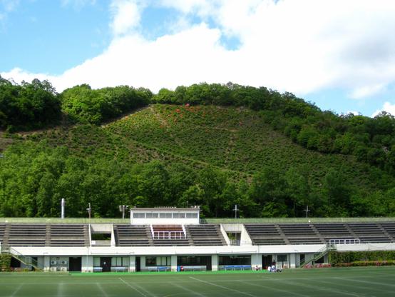 The character 'Myo' during the spring. Azalea gently colour the bald mountain slope. Even outside the 'gozan-no-okuribi' celebrations it is possible to make out the giant characters on the mountains surrounding Kyoto.
