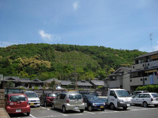 Looking up at the character 'Ho' during the spring time (with azalea in bloom).