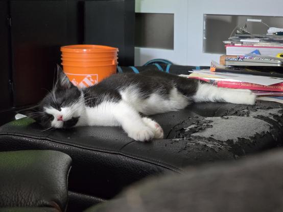 A tiny black and white kitten is laying on a scruffy black leather ottoman sleeping very hard.