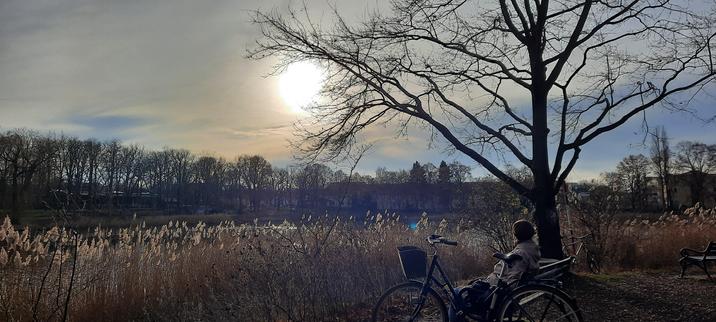 #orankesee #berlin #winter #photography #fotografie
