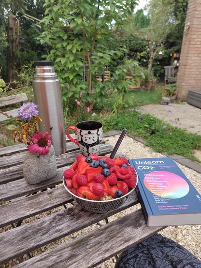 Kleiner Tisch im Garten mit einer Schüssel Obst-Joghurt-Müsli,  Thermoskanne + Teetasse und einer kleinen Steinvase mit drei bunten Blumen. Rechts liegt das Buch "Unlearn CO2". Im Hintergrund viel Grün. 