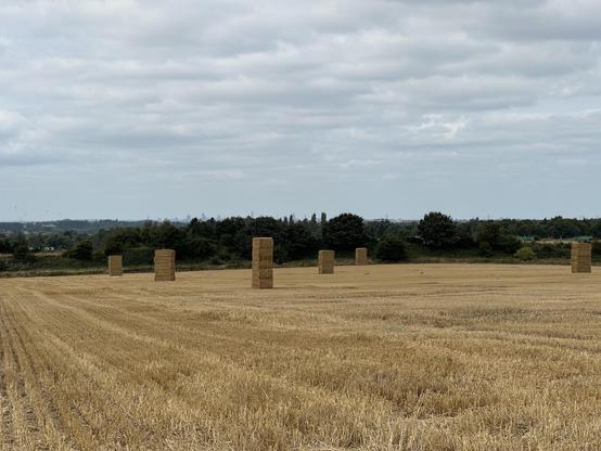 Stacks of hay with the Birmingham skyline in the distance