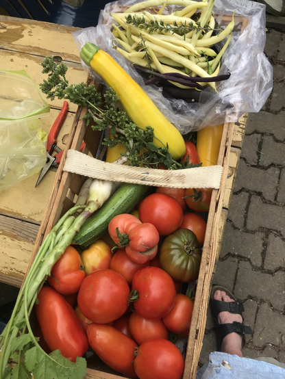 Ein Spankorb mit Tomaten, Bohnen Zucchini Rettich und Kräutern auf einem Gartentisch