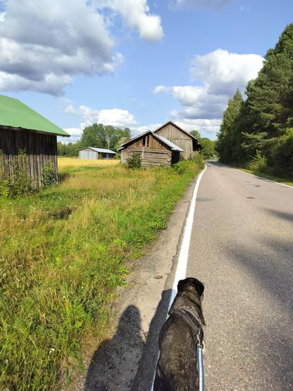 Old barns by the road 
