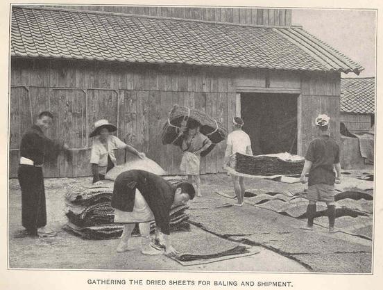 Old photo of nori sheets being collected for packaging and sending.