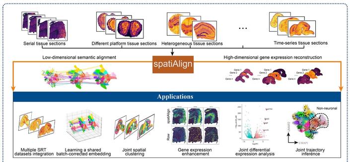 spatiAlign schematic