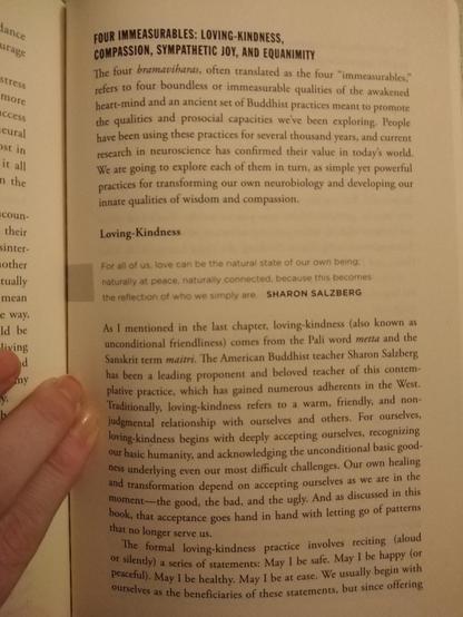 A poorly lit photo of page 201 of Fleet Maull's "Radical Responsibility".